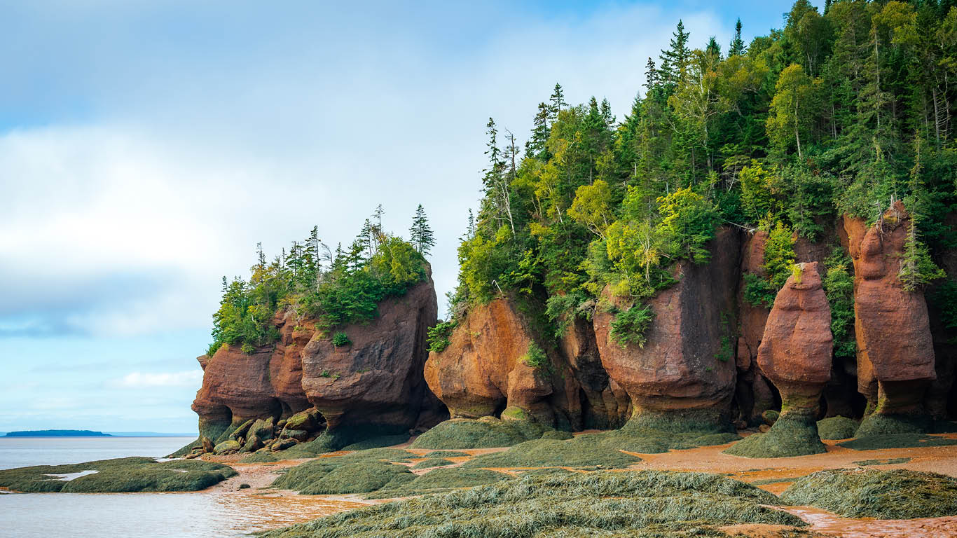Assistance with Canada work visa to PR transition for qualified professionals