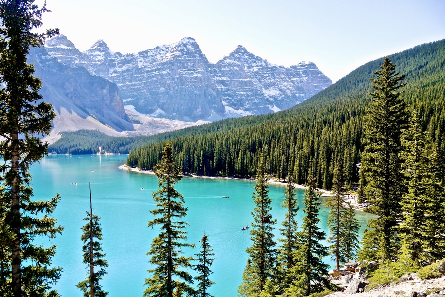 Document preparation services for Canada permanent residency visa applications